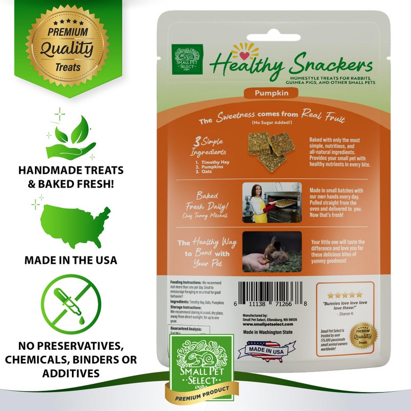 Small Pet Select - Healthy Snackers - Pumpkin - Image 3